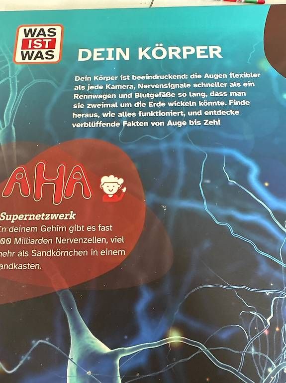 Libri: Buch: Was ist was - Dein Körper – Usato da allschwil venduto da sophie141208 1