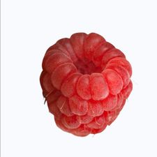 Profile image of living.ohter.lives