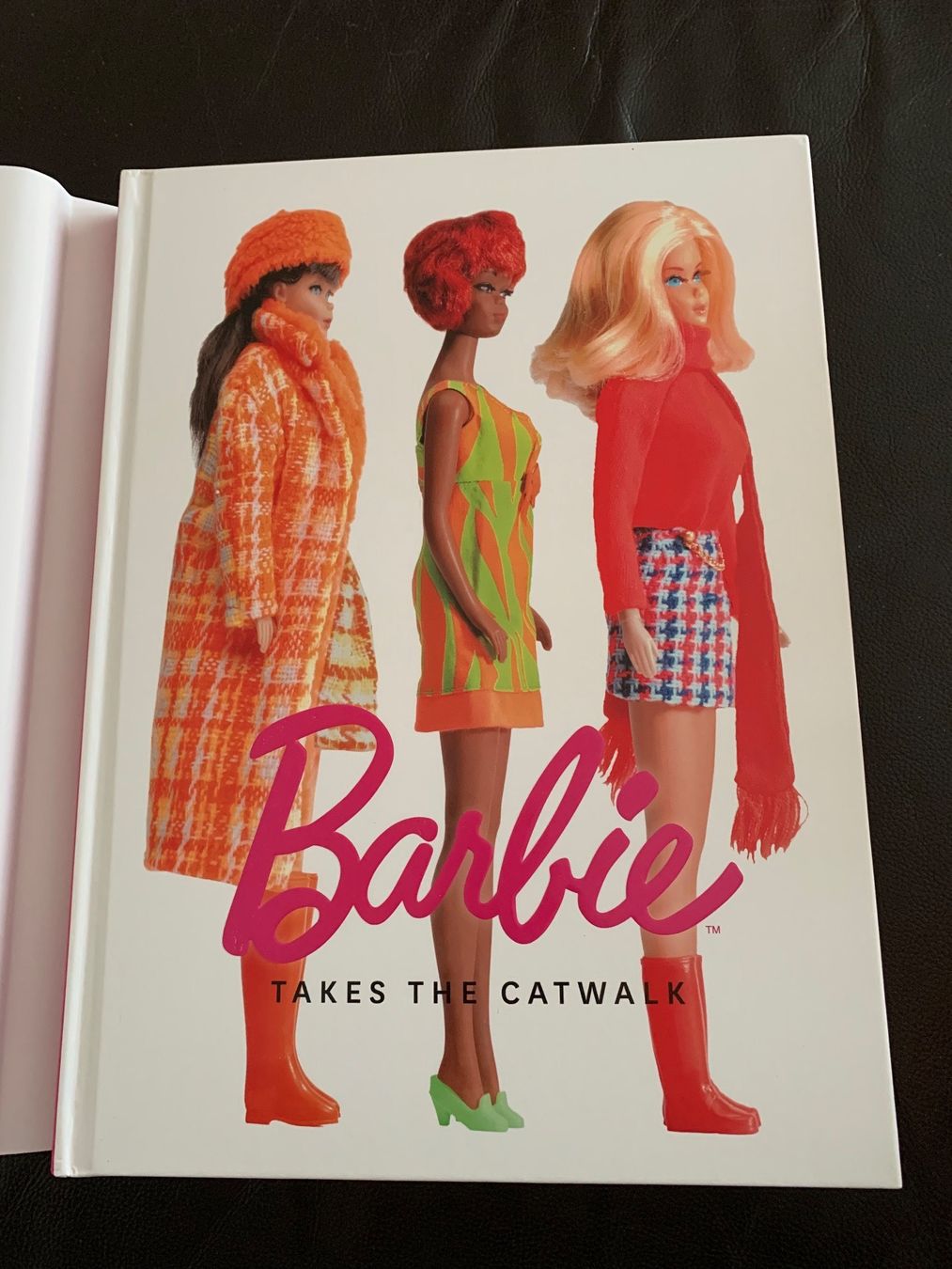 Bücher: Barbie Buch - Takes the Catwalk – Neu (gemäss Beschreibung) aus Horgen von Spikystar13 7