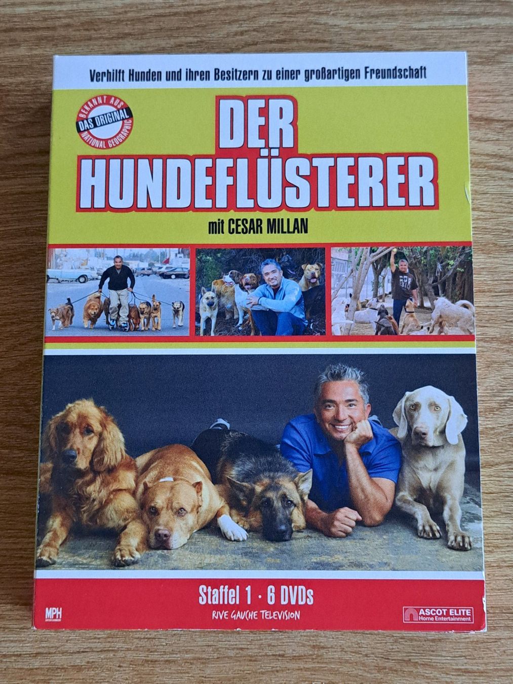 Alle DVDs: Der Hundeflüsterer - Staffel 1, Boxset mit 6 DVDs – Neu (gemäss Beschreibung) aus Unterseen von Kanica