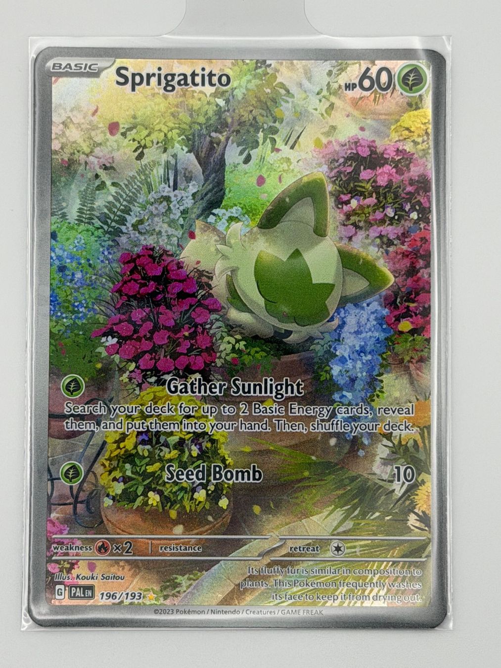 Pokémon Carte collezionabili: Pokemon Sprigatito 196/193 – Nuovo (secondo la descrizione) da Uster venduto da EDM1903