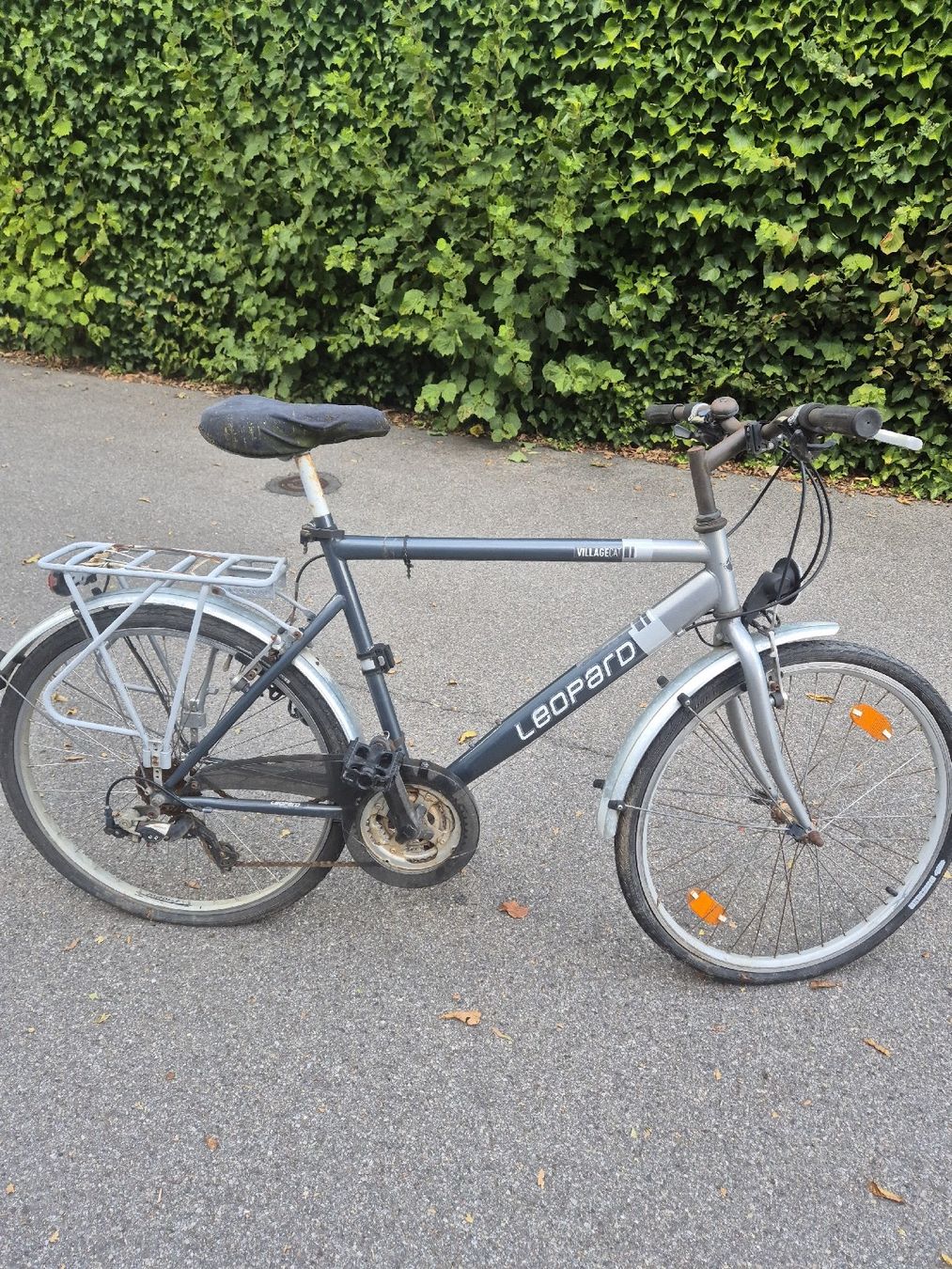 Leopard Vélos: Herren Velo Leopard Defekt  – Défectueux à Lyss par tgl_lyl8