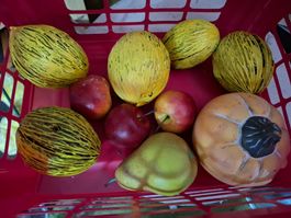 Herbstdeko: Korb voller Deko Früchte, Herbst-Stimmung!
