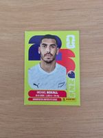 Panini Fifa NZL 4
