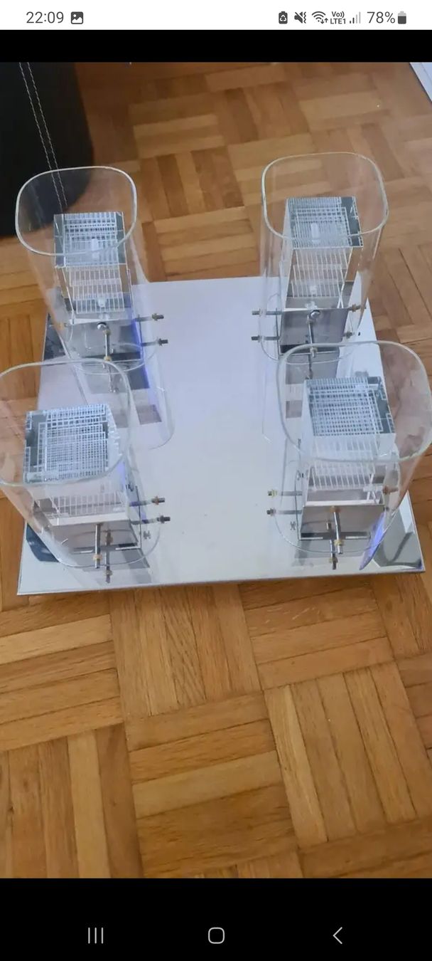 Lampadari & plafoniere: Deckenleuchte, 4-flammig, modern led kristall glas – Usato da Thun venduto da erh_fs86