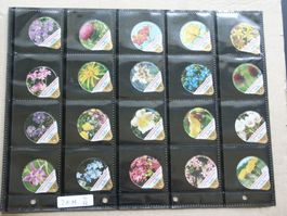 Serie  21 M      Alpenblumen   Gastro