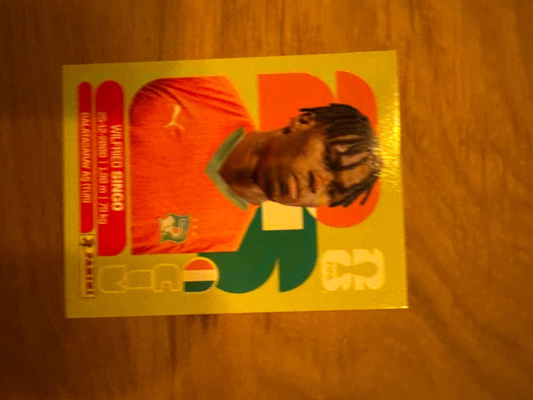 Panini Carte collezionabili: Panini – Usato da Langnau i. E. venduto da Acrjl