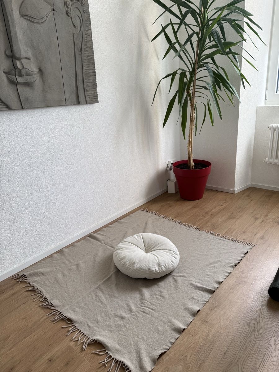 Cuscini: Coussins de méditation neufs – Nuovo (secondo la descrizione) da Les Brenets venduto da cla_2mwb 4