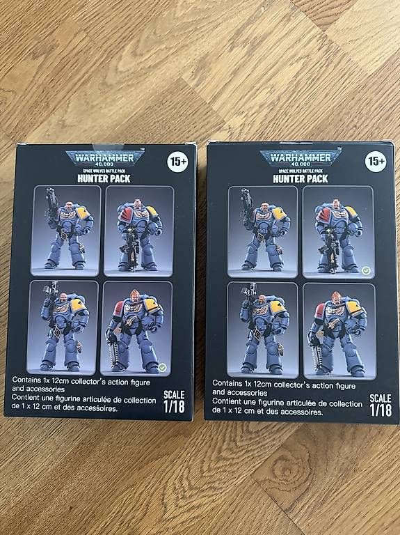 Statuette: Warhammer 40 K Spacewolves – Usato da Pratteln venduto da new_sg89 1