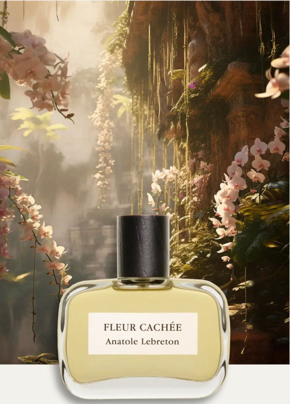 Profumi & Eau de Toilette: Anatole Lebreton Fleur Cachée 50ml+1,5ml – Nuovo e nell'imballaggio originale da Charrat venduto da IP_ol777 2