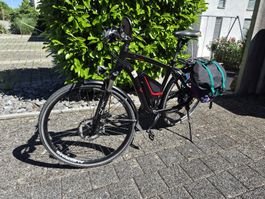 Flyer Vollblut 45km/h