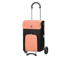 ANDERSEN Shopper SCALA IPEK mit Thermo-Tasche apricot
