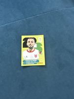 Panini Jor17