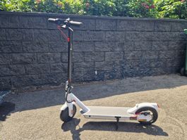 Ocean Drive E-Scooter 250W | Top Akku | Ladegerät inkl. | 20