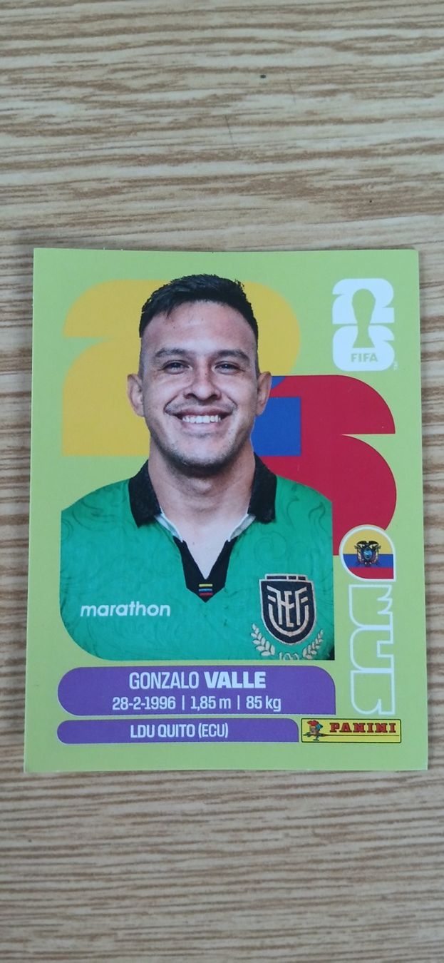 Panini Sammelbilder & Trading cards: Panini Ganzalo Valle 2026 – Gebraucht aus Willisau von roger_meier