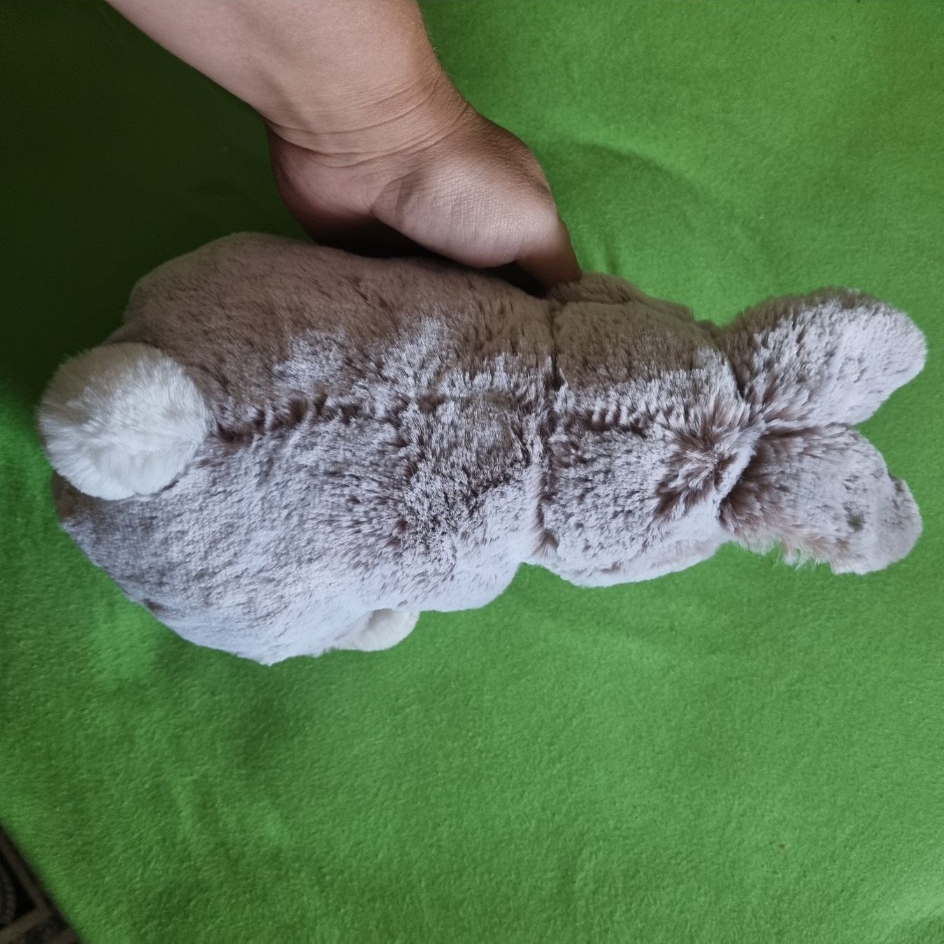Coop Sammelmarken & -punkte: Coop Hase Plüschtier – Gebraucht aus Buchs AG von Kitten33 3