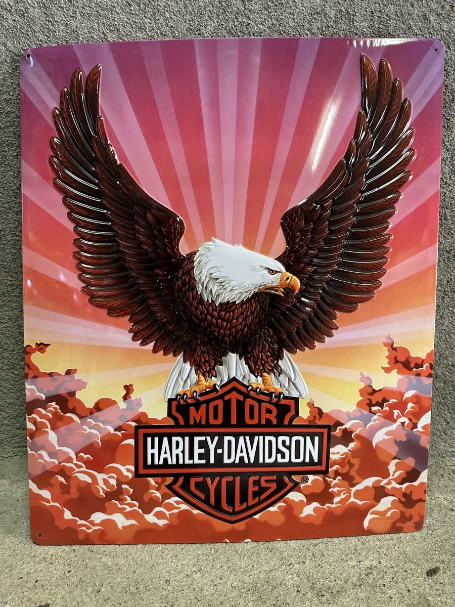 Schilder: Motor Harley Davidson cycles adler – Gebraucht aus Reinach AG von rares75
