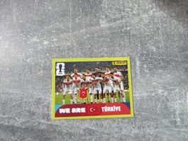 Panini TUR13
