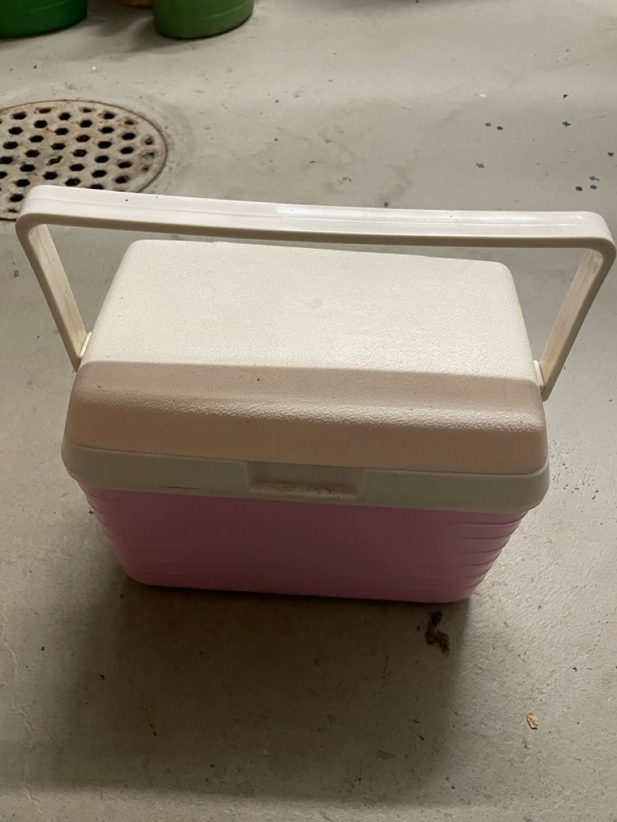 Frigoriferi & Refrigeratori: Kühlbox klein – Usato da Neuenkirch venduto da balani