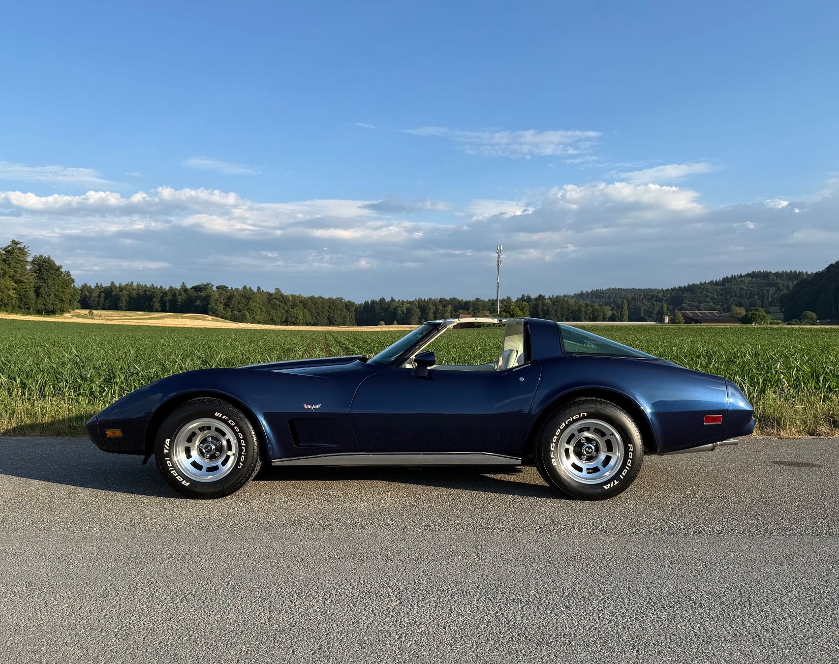 Automobili: Chevrolet Corvette 1979 – Usato da Schafisheim venduto da Schmedi71