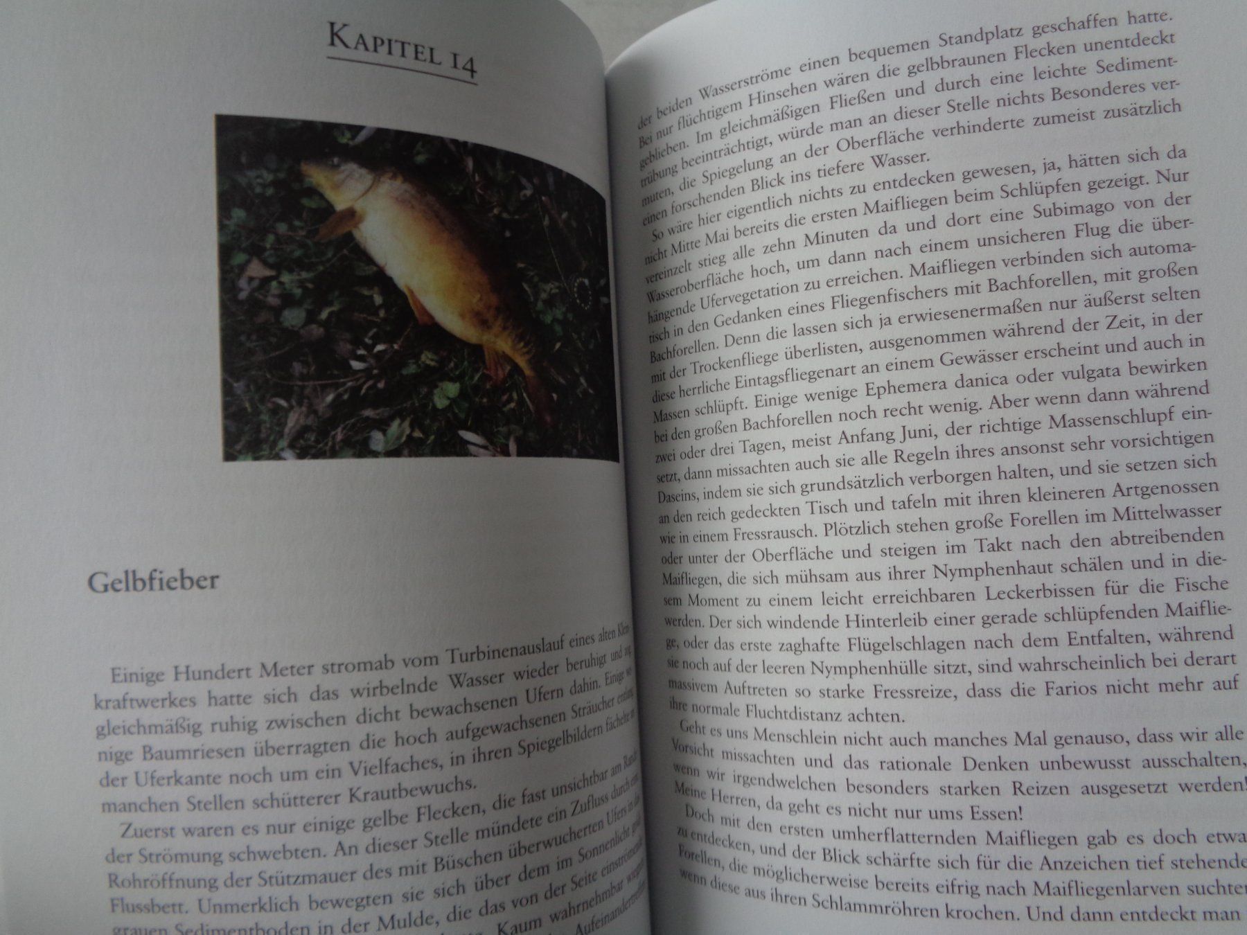 Livres: Fliegen,Flossen & Glossen – D'occasion à Chur par omonia 5