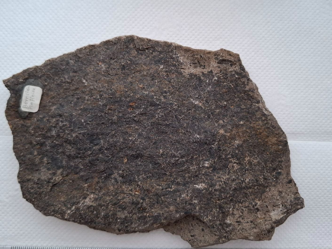 Minerali & Pietre curative: Schweizer Bernstein var. Plaffeiit Platte 14.5cm Selten – Nuovo (secondo la descrizione) da Pfäffikon ZH venduto da mrstone 1