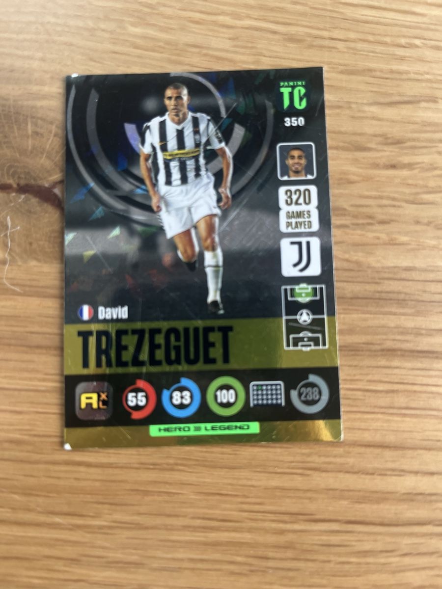Panini Carte collezionabili: Top Class Hero Legend David Trezeguet – Usato da Burgdorf venduto da lea_cw56