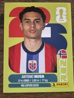 Panini WM 2026 - NOR 19 Sticker  🇳🇴⚽️