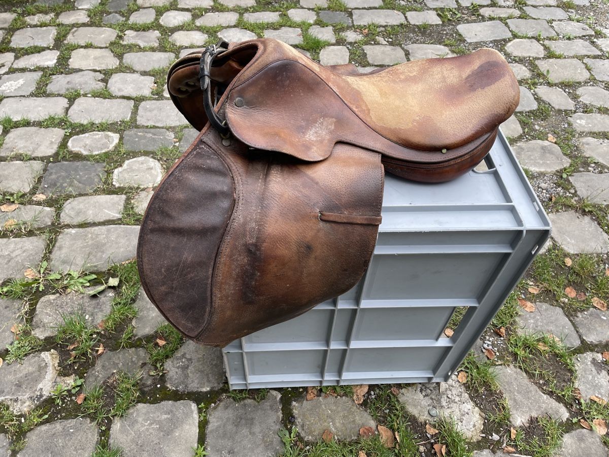 Selle & Accessori: Sattel Crosby gebraucht – Usato da Hauptwil venduto da c-pro 3