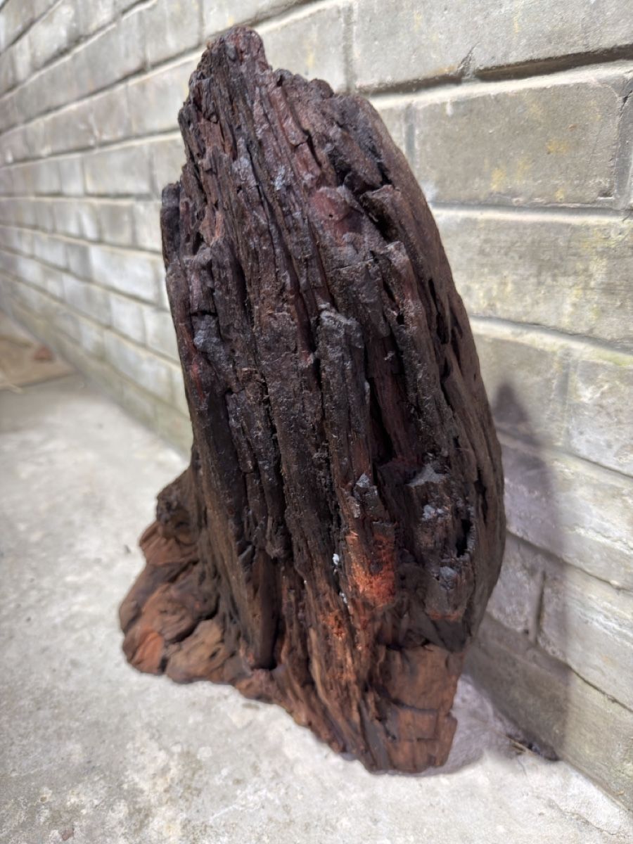 Articoli in legno: Mangrovenholz Aquarium – Usato da Rudolfingen venduto da levinkuendig11 1
