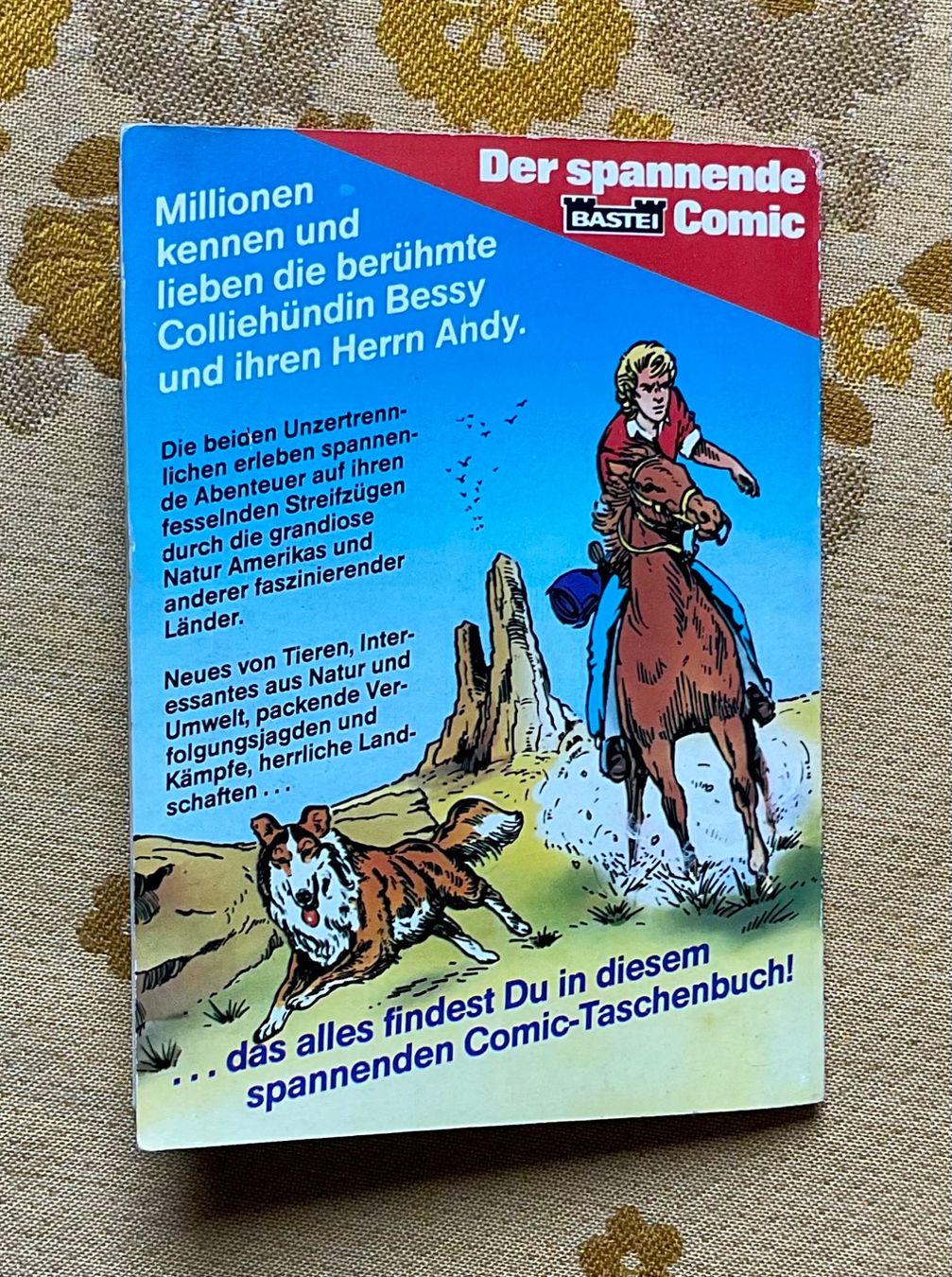Fumetti: Bessy Taschenbuch Nr 16 – Usato da Endingen venduto da nathan05 9