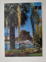 Enrico Fermi Locarno Il Lungolago mit Palm und Schiffen