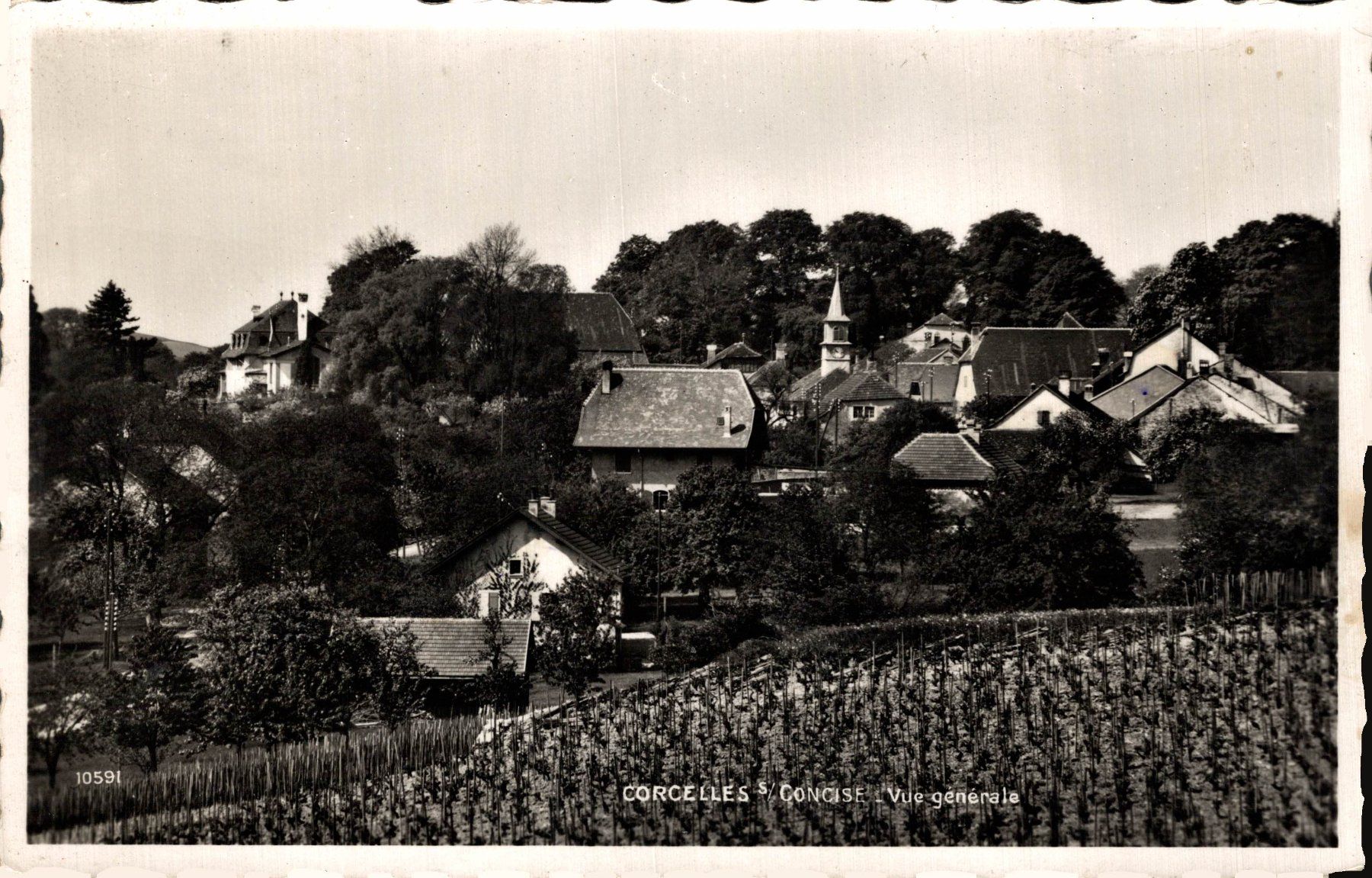 Cartoline postali: Corcelles s/Concise - Vue générale – Usato da Bronschhofen venduto da Astore