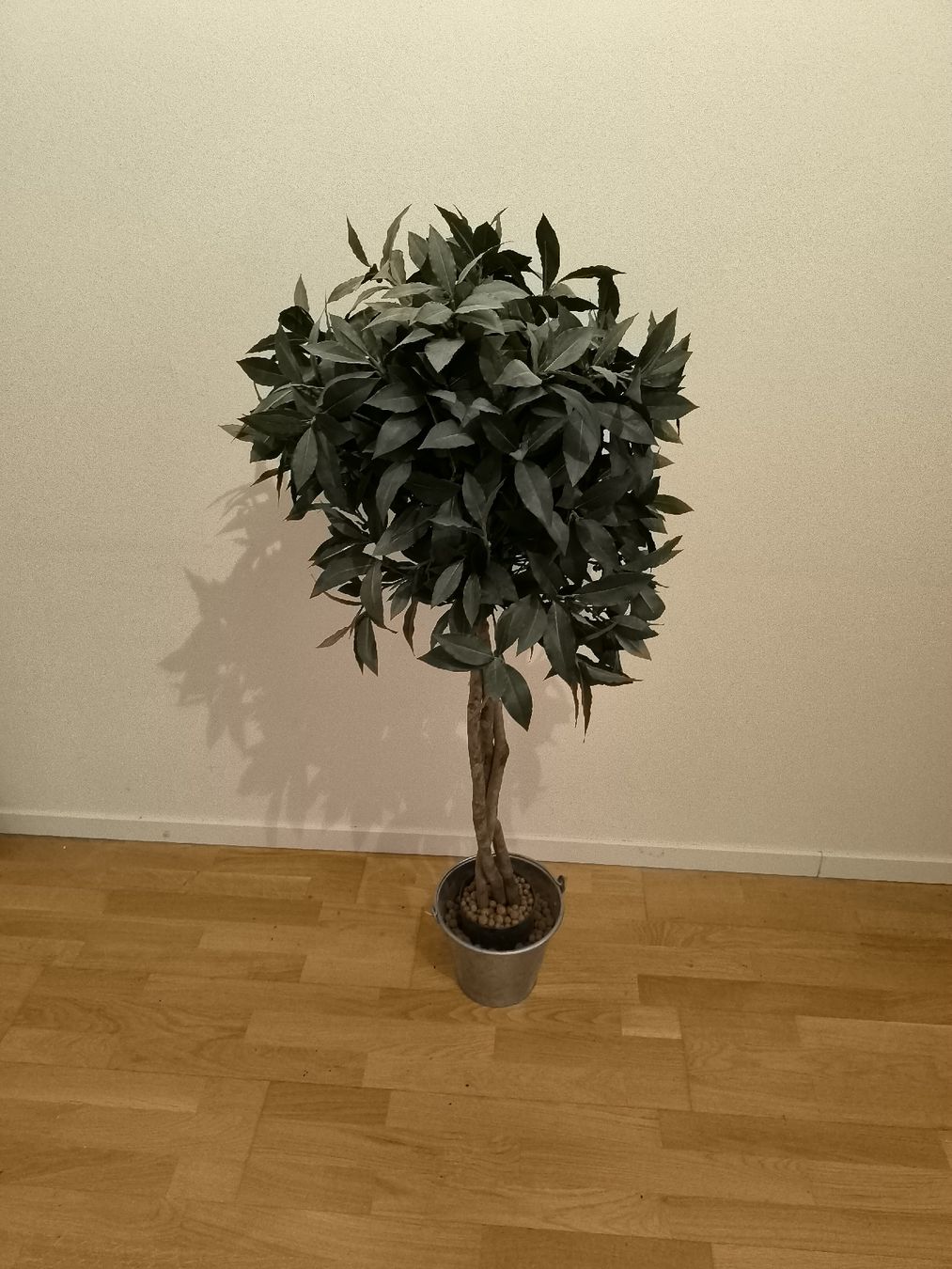 Tutte le decorazioni: Kunstpflanze Lorbeerbaum im Topf  – Usato da Nürensdorf venduto da mei_k22z