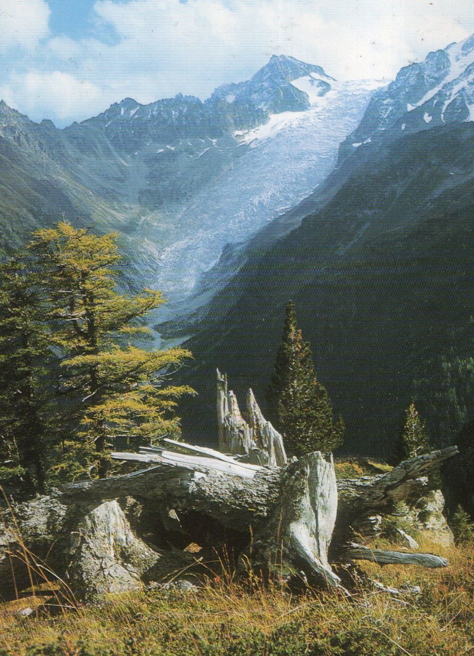 Ansichtskarten: Glacier du Trient – Gebraucht aus Melano von pisonsdro