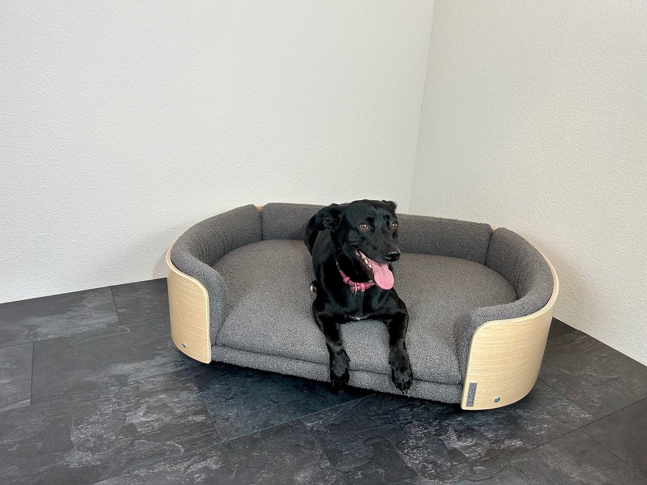 Cucce & Letti: PFOTE® Hundesofa aus Sperrholz – Nuovo e nell'imballaggio originale da Sirnach venduto da XELOonlineGmbH 8