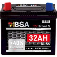 BSA Rasentraktor Batterie 32Ah Links