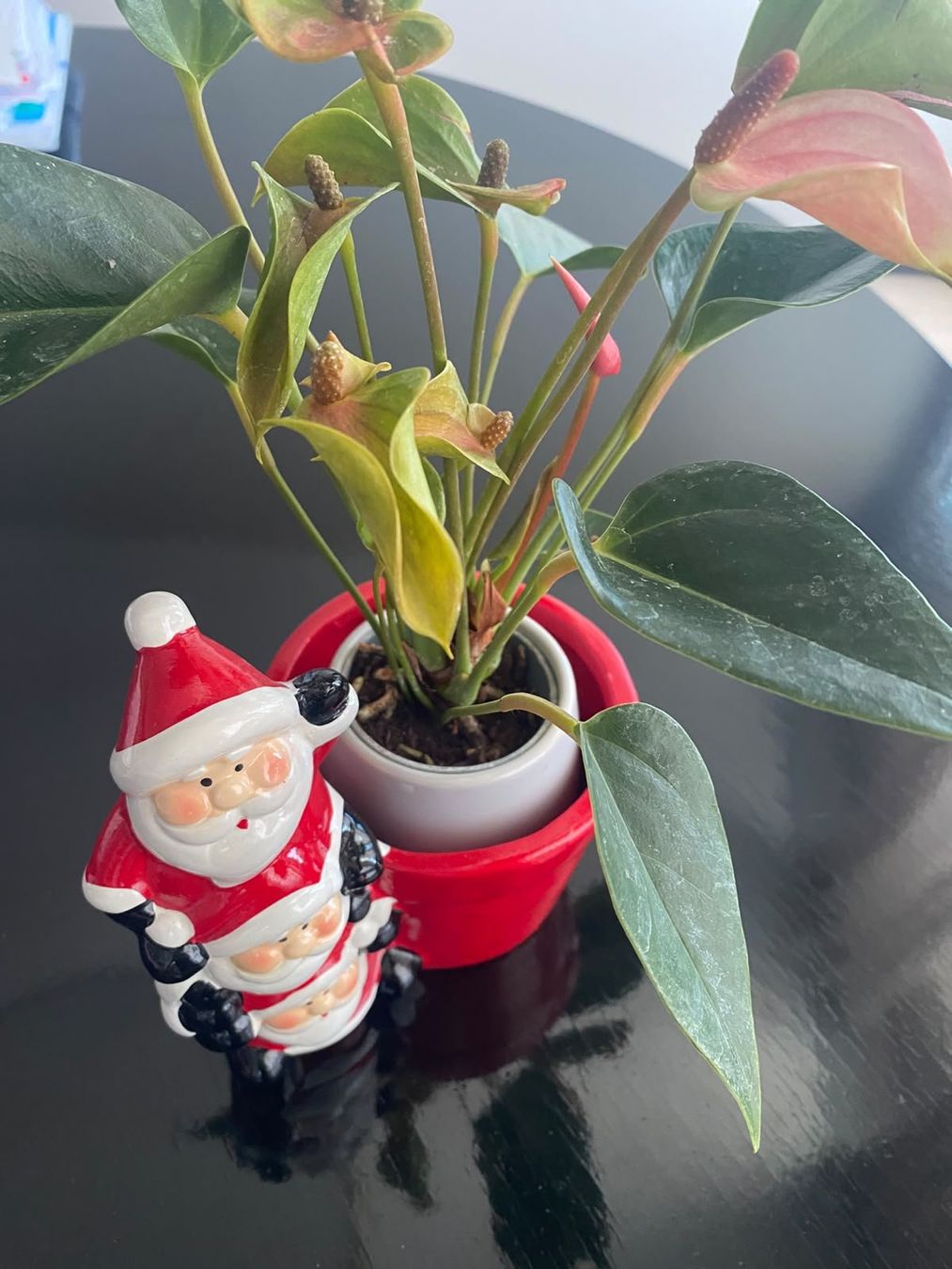 Toutes les décorations: Weihnachtsmann Übertopf gebraucht – D'occasion à Zumikon par pat_m55d