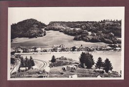 Vallée de Joux - LE PONT - Vaches