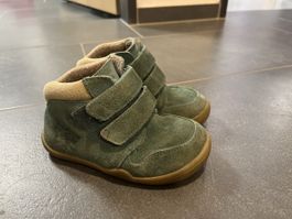 bLifestyle raccon gr 24