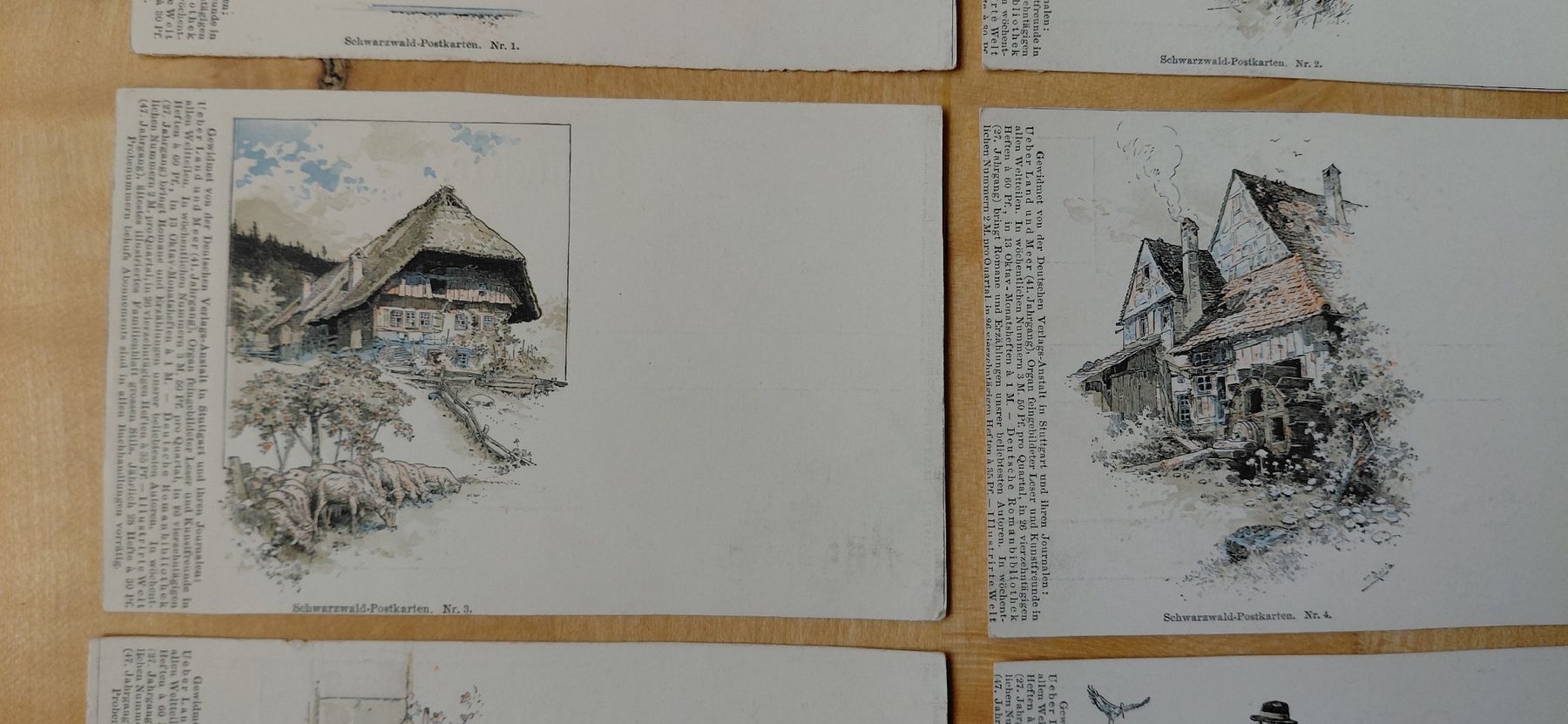 Cartoline postali: 8 antike Schwarzwald Postkarten, Lithogrofien – Usato da Trogen venduto da Limboo 2
