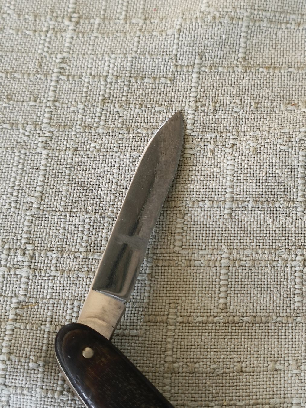 Victorinox Coltelli tascabile: Altes Horn Sackmesser INOXYD – Usato da Brugg AG venduto da Ente015 6