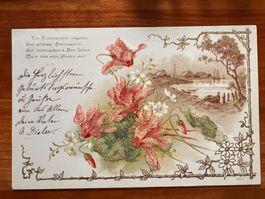 Postkarte Litho mit Blumen 1900    (P488)