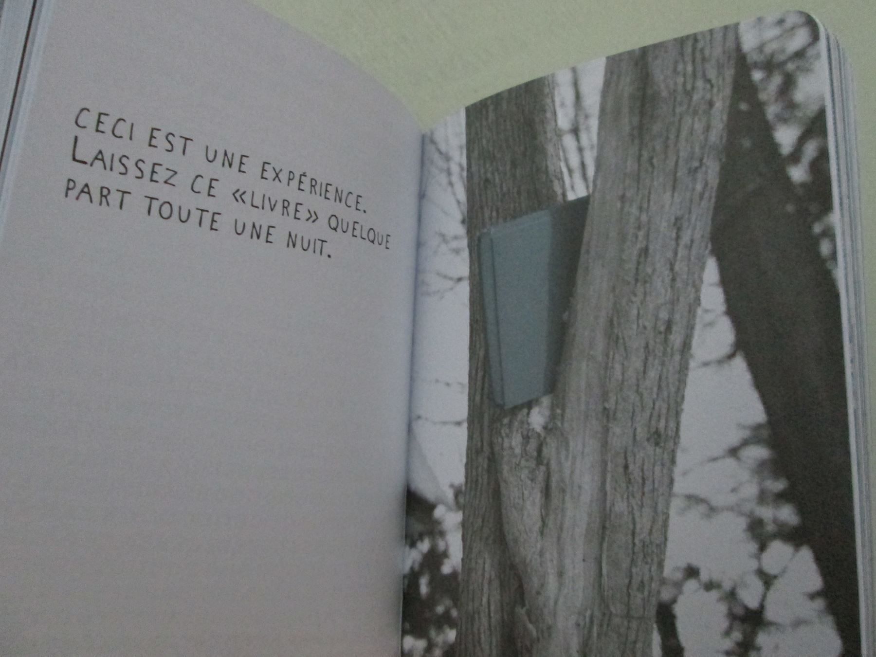 Bücher: Ceci n'est pas un livre – Gebraucht aus Neuchâtel von Dualseele 5