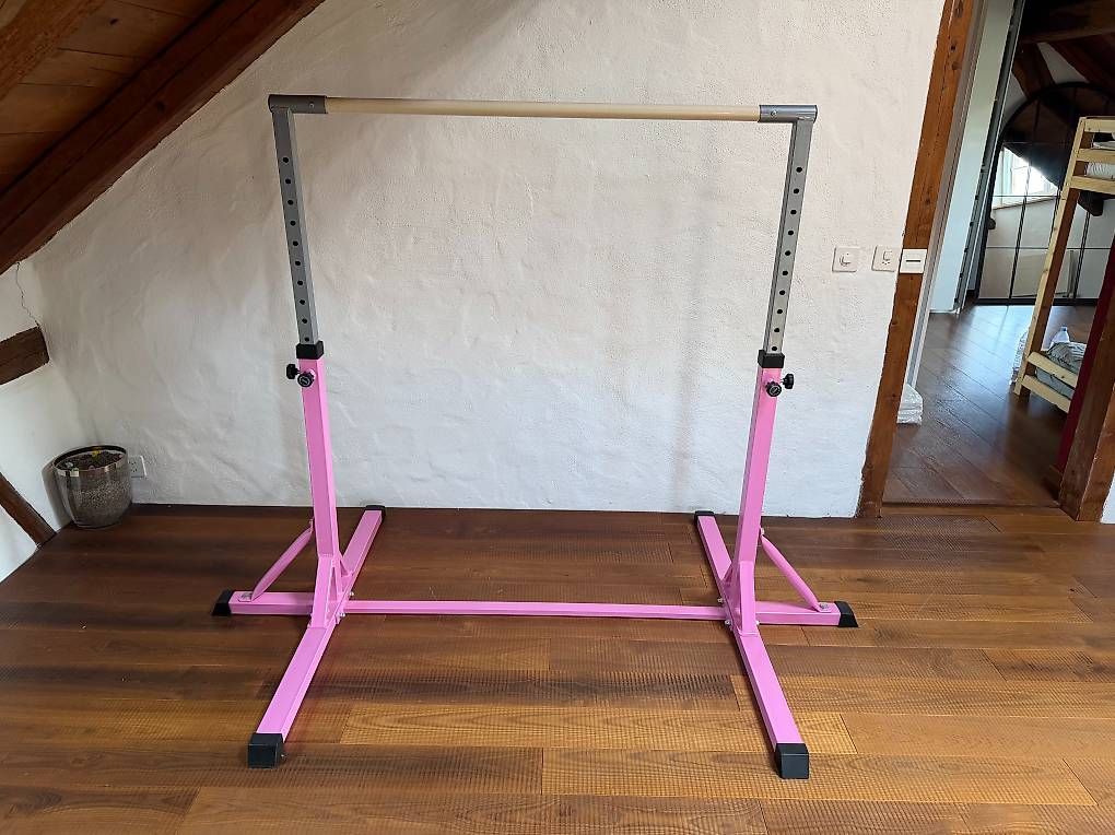 Giocattoli: Kinder Turnreck höhenverstellbar Rosa/Grau – Usato da Unterendingen venduto da Marillendax 1