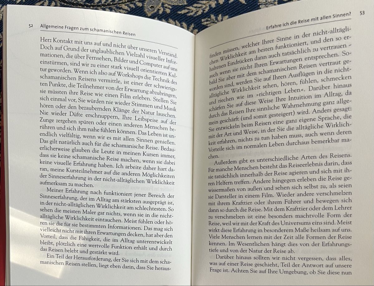 Libri: Die schamanische Reise Sandra Ingerman mit CD – Usato da Basel venduto da Caramelbonbon 4