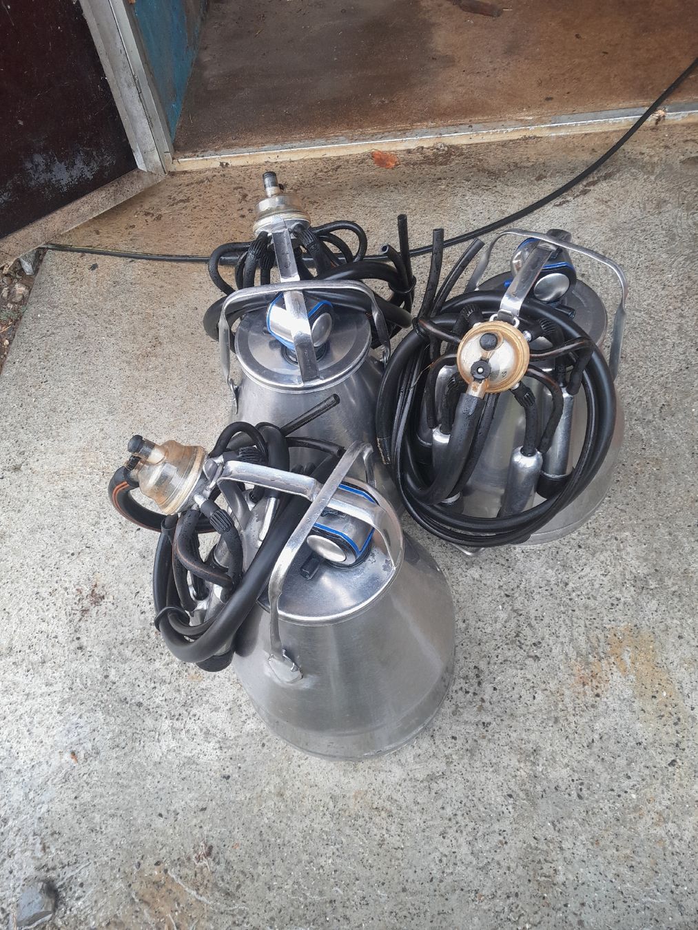 Delaval Alle Maschinen: 3 Melkagregate – Gebraucht aus Konolfingen von pet_p9bs