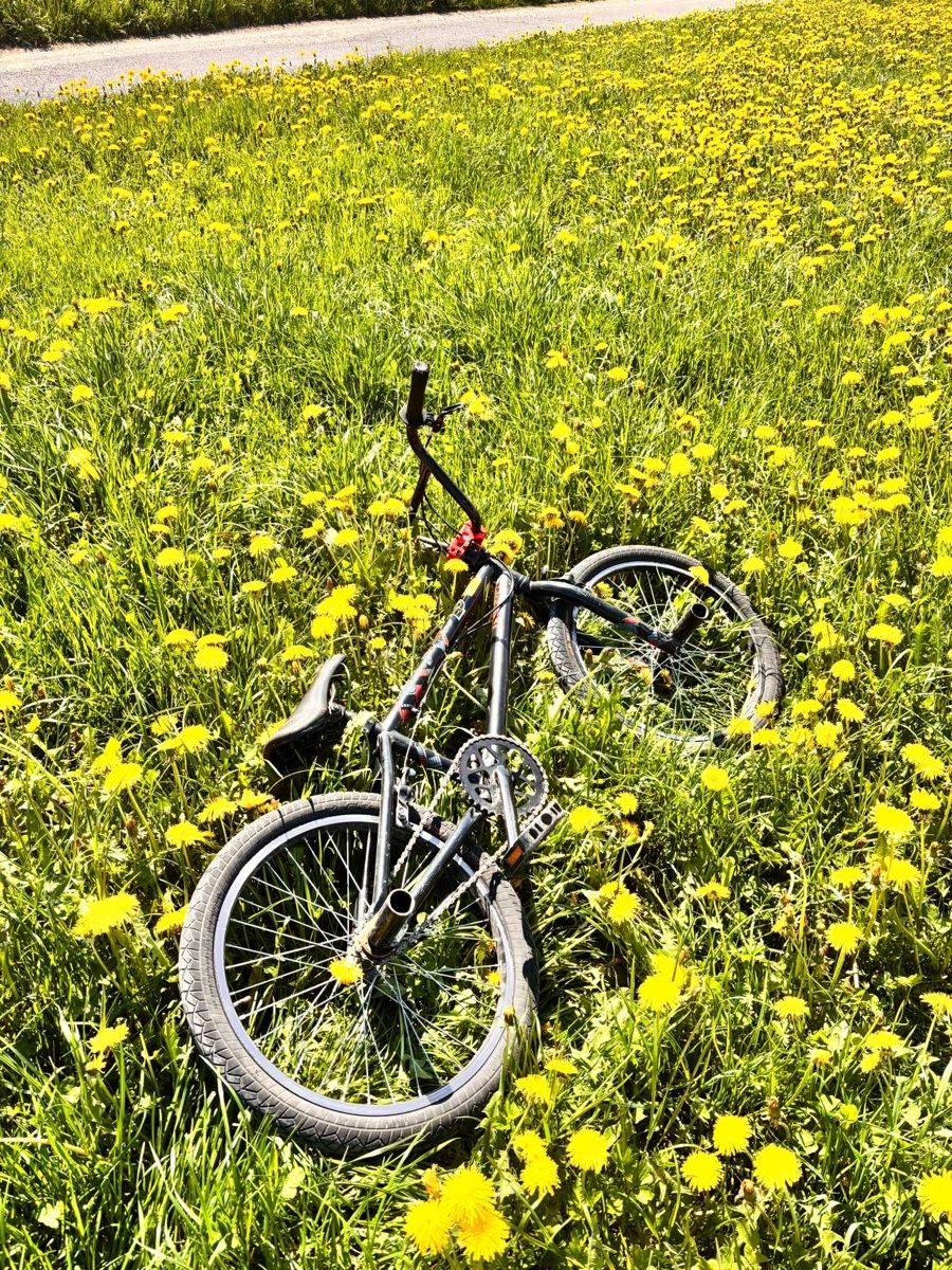 Felt Biciclette: Felt Bikes BMX – Usato da Gossau SG venduto da sangos 1