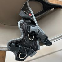 Dog harness- swiss Grossenbacher new harness - L
