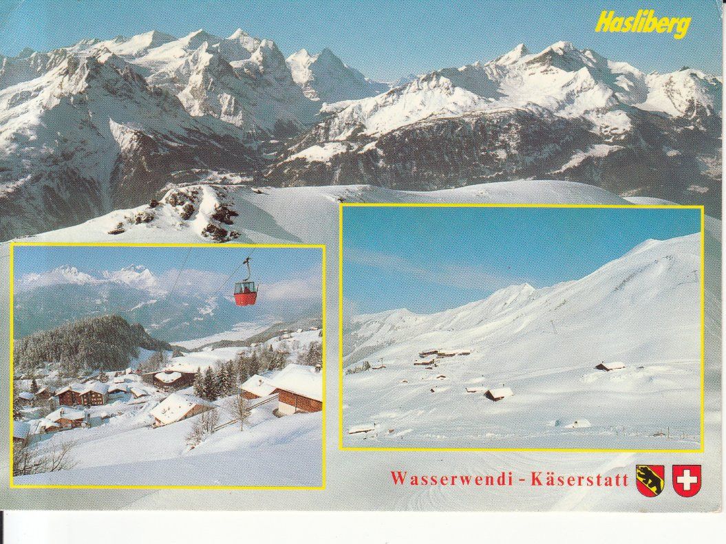 Cartoline postali: Wasserwendi Käserstatt 1990 – Usato da Bürglen TG venduto da StampGraf